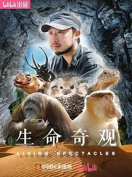 《生命奇观》：当长沙唱区的歌声遇上生命奇迹，这注定是一场泪崩的视听盛宴！