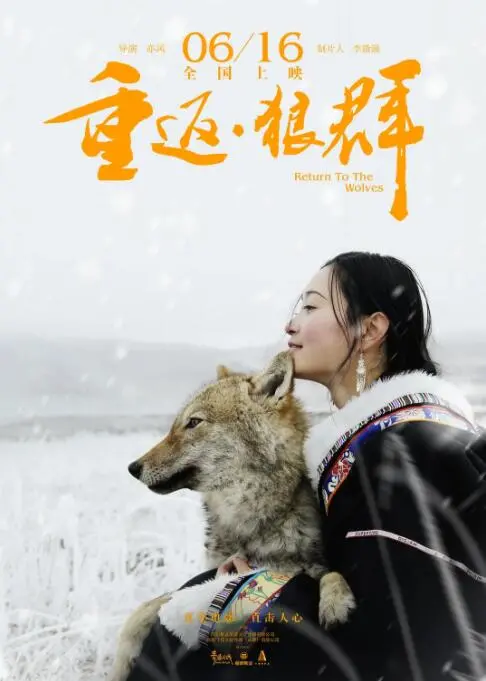 《重返·狼群》：这国产悬疑片牛X了！剧情反转再反转，看完我直呼‘过瘾’！