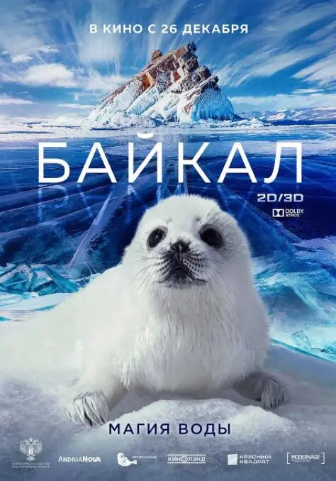 《神奇的贝加尔湖》：不止是美景，更是关于身份认同的灵魂拷问，这趟旅程绝对值！