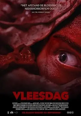 Vleesdag：一场属于足球迷的视觉盛宴，西甲联赛的激情永不熄灭！