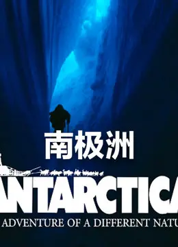 《南极洲》：不止是冰封世界，更是硬核生存的史诗！